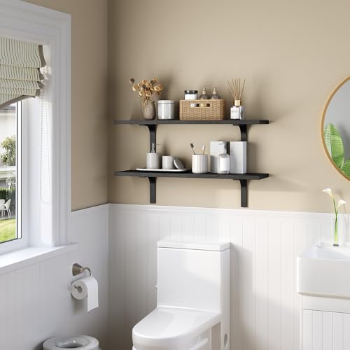 Black Floating Wall Shelves Set of 2 for Home Decoration
