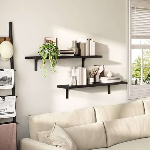 Floating Wall Shelves Set of 2 for Home Decor, Black