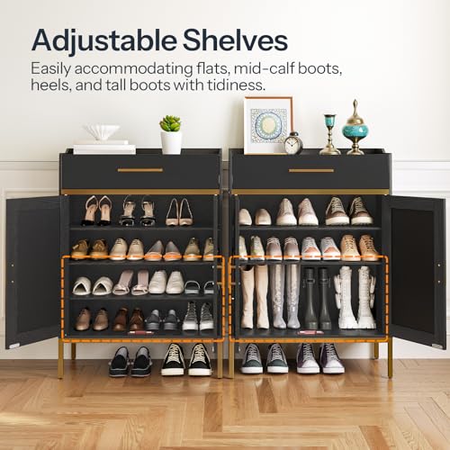Narrow Shoe Storage Cabinet for Entryway, Gold and Black with Adjustable Shelves