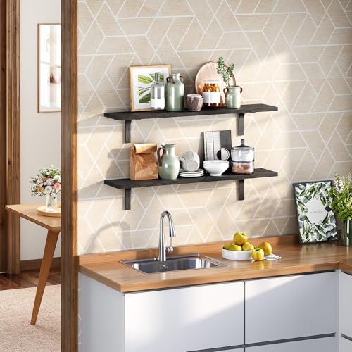 Floating Wall Shelves Set of 2 for Home Decor, Black